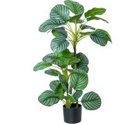 DRW Planta Artificial calathea orbifolia de PU con 3 Troncos en Verde 20x20x90 cm