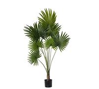 DRW Planta Artificial de una Palmera con 8 Hojas de PU en Verde 160x25x25 cm