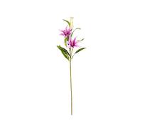 DRW Set 6 varas liliums malvas 2 Cabezas Apariencia Real 105 cm