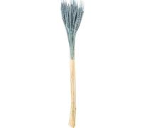 DRW Set de 12 Ramos de varas de Trigo Natural preservada en Azul 1x1x70 cm