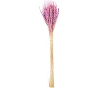 DRW Set de 12 Ramos de varas de Trigo Natural preservada en Rosa 1x1x70 cm