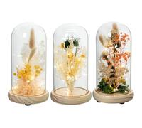DRW Set de 3 fanales de Cristal con Base de Madera y Flores Artificiales en Tonos Naturales y Suaves 12x12x22cm