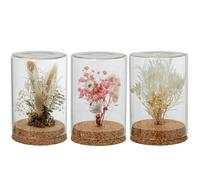 DRW Set de 3 fanales de Cristal con Flores Artificiales en Tonos Naturales 8x8x12cm