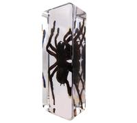 DRXRD Espécimen en Resina, Taxidermia Transparente de Insectos, Decoración de Insectos Ámbar, para la Enseñanza de Las Ciencias en el Aula de Ciencias, Colección y Pisapapeles Spider