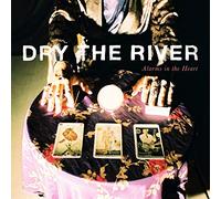 Dry The River - Alarms In The Heart [Vinilo]