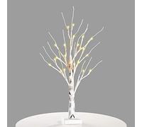 DRYEN Árbol de abedul blanco con luces de 61 cm, árbol de adorno de 24 luces LED, pieza central de mesa con batería, árbol de ramitas, lámpara de árbol de rama artificial de color blanco cálido
