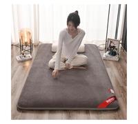 DSAoTeng Colchón de futón grueso - Felpa de terciopelo rosa plegable estilo japonés suave y portátil para dormitorio, hogar, habitación de invitados, yoga, sala de estar (gris, 120 x 200 cm)