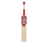 DSC Roar Terra Cricket Bat For Mens and Boys (Beige, Size -3) | Material: Kashmir Willow | Lightweight | Free Cover | Ready to Play | For Intermediate Player | Ideal For Leather Ball