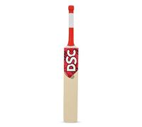 DSC Roar Terra Cricket Bat For Mens and Boys (Beige, Size -6) | Material: Kashmir Willow | Lightweight | Free Cover | Ready to Play | For Intermediate Player | Ideal For Leather Ball