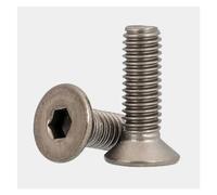 DSDBDNN 10-20 unids/lote M2 .5 M3 M4 M5 M6 DIN7991 tornillos hexagonales de titanio puro avellanados/tornillos de cabeza plana(20mm,M2.5 20pcs)