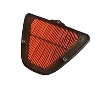DSDBDNN Filtro de Aire de Repuesto for Motocicleta, Compatible con Kawasaki VN1700 Vulcan 1700 Voyager ABS 2009-2016.