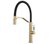 DSeenLeap Grifos de Cocina, Grifo de Cocina extraíble con Cabezal de succión magnético, Giratorio 360°, con rociador de Doble función y Mezclador Monomando de Acero Inoxidable (Oro Cepillado).