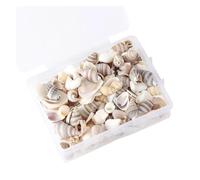 DSFIHJO DecoracióN De Conchas 1 Caja de patrón Conchas Playa Naturales, mar for decoración Caft DIY, Accesorios joyería Artesanal, Concha Agujeros for uñas(2)