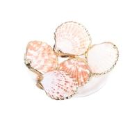 DSFIHJO DecoracióN De Conchas Concha del Sector Rojo Blanco chapada en Oro for joyería DIY Hecha a Mano decoración hogar artesanía 5 uds(2)