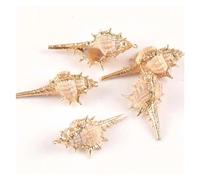 DSFIHJO DecoracióN De Conchas Conchas de 20x40mm, 5 uds., for Colgante Artesanal, Concha Marina Beige, Accesorios Hechos a Mano, decoración for el hogar y la Playa