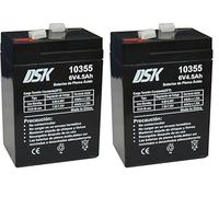 DSK Batería Plomo AGM Sellada VRLA 6V 4,5Ah (Paquete de 2)