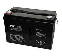 DSK Batería recargable 12V 100Ah - Adaptador Universal F1/F2 Incluido - Medidas 307x169x215mm - Para SAI, Alarma, Coches y Motos Infantiles...