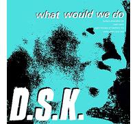 What Would We Do (Junior Boy's Own Mixes)