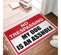 Dsocuiubos Alfombra en capas para porche delantero, no pasando mi perro es un assholes, alfombra para puerta del hogar, cosas para hombres (tamaño : 50 x 80 cm)