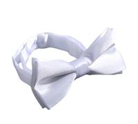 DSOUWEH Aspecto sofisticado con pajarita de moda para niños, niño, pajarita de poliéster, pajarita para niño, vestido elegante hacia arriba o hacia abajo, catorce