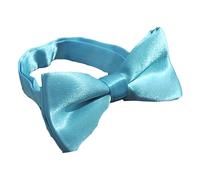 DSOUWEH Aspecto sofisticado con pajarita de moda para niños, niño, pajarita de poliéster, pajarita para niño, vestido elegante hacia arriba o hacia abajo, nueve