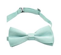 DSOUWEH Aspecto sofisticado con pajarita de moda para niños, niño, pajarita de poliéster, pajarita para niño, vestido elegante hacia arriba o hacia abajo, diecinueve