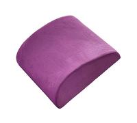 DSOUWEH Mejorado con núcleo interior de algodón con memoria - Cojín para la cintura Cojín para silla de comedor Cojín para la cintura de algodón de felpa, Gamuza Púrpura