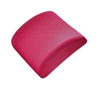 DSOUWEH Mejorado con núcleo interior de algodón con memoria - Cojín para la cintura Cojín para silla de comedor Cojín para la cintura de algodón de felpa, Malla rosa roja