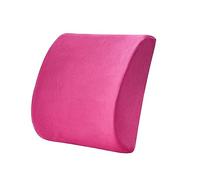 DSOUWEH Mejorado con núcleo interior de algodón con memoria - Cojín para la cintura Cojín para silla de comedor Cojín para la cintura de algodón de felpa, Ante - Rosa