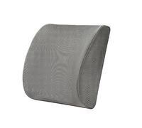 DSOUWEH Mejorado con núcleo interior de algodón con memoria - Cojín para la cintura Cojín para silla de comedor Cojín para la cintura de algodón de felpa, Malla gris