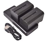 DSTE (2 Pack) NP-F750 Repuesto Batería + Cargador LCD Dual de Carga rápida Compatible para NP-F770,NP-F730 y Sony CCD-SC5 CCD-TR76 CCD-TRV93 HDR-FX1 CCD-TRV95 HVR-Z1U CCD-TR716 CCD-TRV91