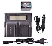 DSTE 2-Pack NP-FV100 Batería + LCD Cargador Compatible para Sony DCR-SR15,DCR-SR21,DCR-SR68,DCR-SR88,DCR-SX21,DCR-SX44,DCR-SX45,DCR-SX63,DCR-SX65,DCR-SX83,DCR-SX85