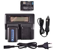 DSTE® 2 Pack Repuesto Batería NP-QM71D NP-QM71 + LCD Cargador Doble Canal Compatible para Sony NP-QM71,NP-FM70,CCD-TRV150,CCD-TRV228,CCD-TRV250,CCD-TRV270,CCD-TRV285,CCD-TRV308,CCD-TRV318 Cámara