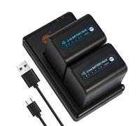 DSTE 2PCS NP-QM91D NP-QM91 (5500mAh/7.4V) Batería Cargador Compatible para Sony CCD-TRV118,CCD-TRV138,CCD-TRV338,DCR-DVD101,DCR-DVD200,DCR-DVD300,DCR-DVD301,DCR-HC14,DCR-PC105
