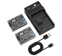 DSTE 2X NP-FP50 Batería Cargador Compatible con Sony DCR-30, DCR-DVD105, DCR-DVD202E, DCR-DVD203E, DCR-DVD205E, DCR-DVD304E, DCR-DVD305