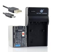 DSTE Batería de iones de litio y cargador micro USB compatible con Sony NP-FP90 DCR-DVD92 DCR-DVD103 DCR-DVD105 DCR-DVD203 DCR-DVD205