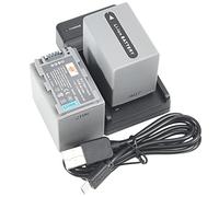 DSTE - Juego de 2 baterías de iones de litio y cargador micro USB compatible con Sony NP-FP90 DCR-DVD92 DCR-DVD103 DCR-DVD105 DCR-DVD203 DCR-DVD205