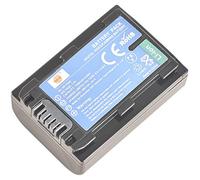 DSTE NP-FH50 Compatible con Sony DSC-HX1 DSC-HX100V DSC-HX200V HDR-TG5V HDR-TG1E HDR-TG3 HDR-TG5 HDR-TG7