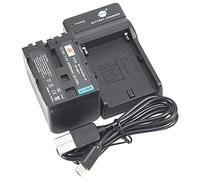 DSTE NP-FM70 Li-Ion Batería Traje y Cargador Micro USB Compatible con Sony NP-QM71 NP-QM71D DCR-PC115 DCR-PC120 DCR-PC330 DCR-TRV25 DCR-TRV27 DCR-TRV30 DCR-TRV33