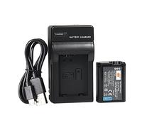 DSTE NP-FW50 - Batería de iones de litio y cargador micro USB compatible con cámaras digitales Sony Alpha 7, a7, Alpha 7R, a7R, Alpha 7R II, Alpha a3000, a6000, NEX-7, SLT-A55V, DSC-RX10