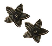 DSWZLQDXB 2 Manijas Armario Antiguo Manillas para cajones Bronce gabinetes Pomos puerta para niños Retro Tiradores de Aleación de zinc para habitación infantil (Flower)