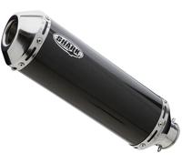 DSX-1 Slip-On Carbon Silenciador trasero, carbono