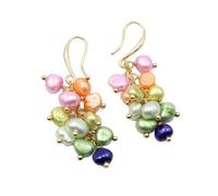DSZUJTYROP Freshwater Cultured Colorful Gold Plated Hook Earrings For Women Fashion Jewelry