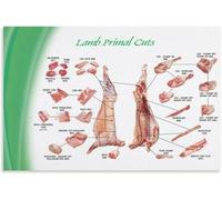 DSZUJTYROP Lamb Meat Anatomy Butcher Chart Kitchen Reference Poster Canvas for Living Room Bedroom Home Decor(Unframed,12x18inch(30x45cm))