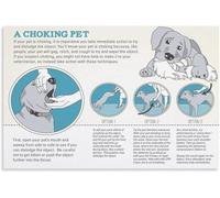 DSZUJTYROP Pet Lifesaving Poster Dog CPR Canine Emergency First Aid Wall Decor(Framed,12x18inch(30x45cm))