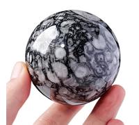 DSZUJTYROP Shell Stone Crystal Ball Ornament with Stand Rare Black White Gemstone Sphere Fengshui Decoration for Gift,50~55mm