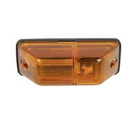 DT Spare Parts 3.31069 Piloto intermitente