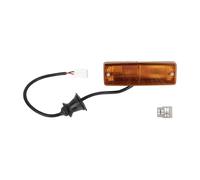 DT Spare Parts 4.62823 Piloto intermitente