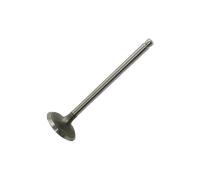 DT Spare Parts 6.22054 Válvula de admisión