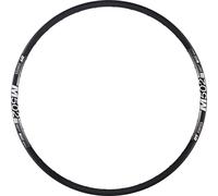 DT Swiss 2040019100 Llanta, Negro, 6.5 mm